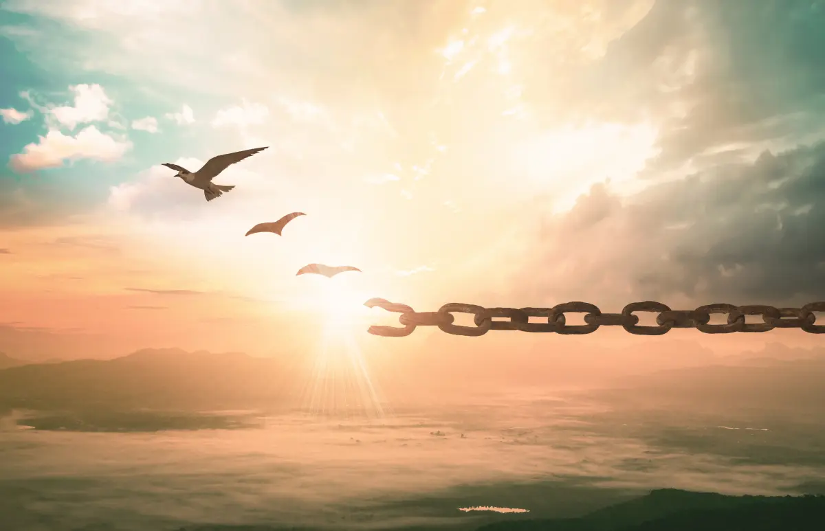 A chain that breaks and the birds fly off becoming free.
